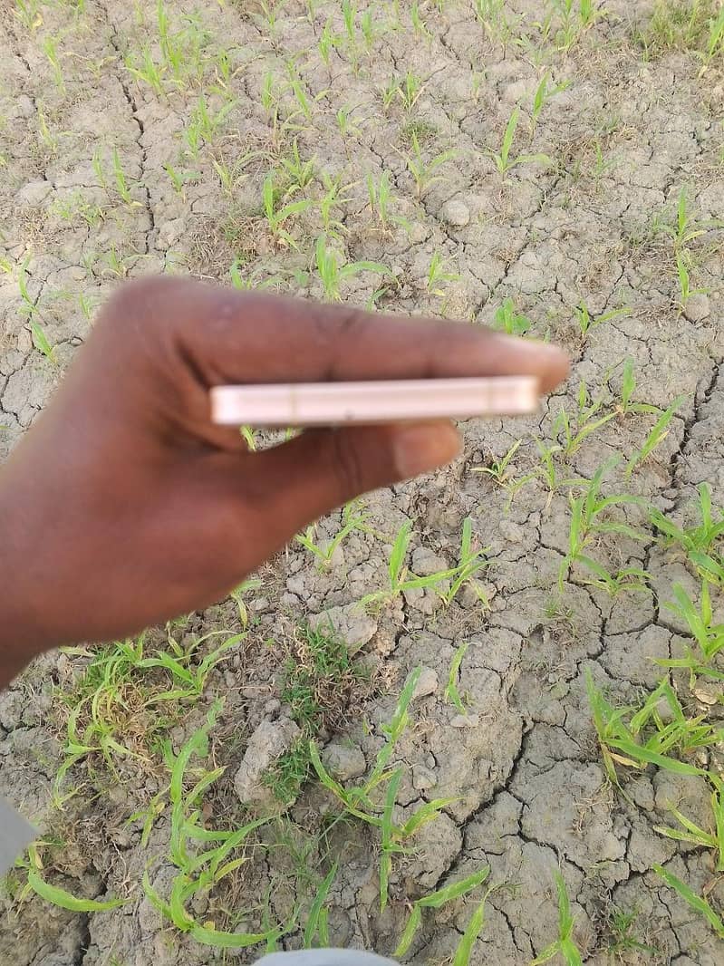 Sharp Aquos Sense 5