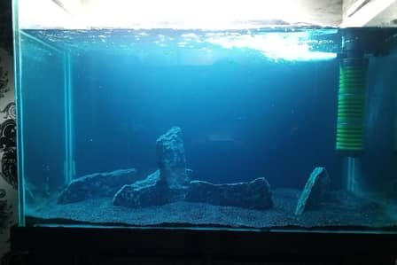 Fish Aquarium, Fish tank 3 fit 12 mm glass for sale