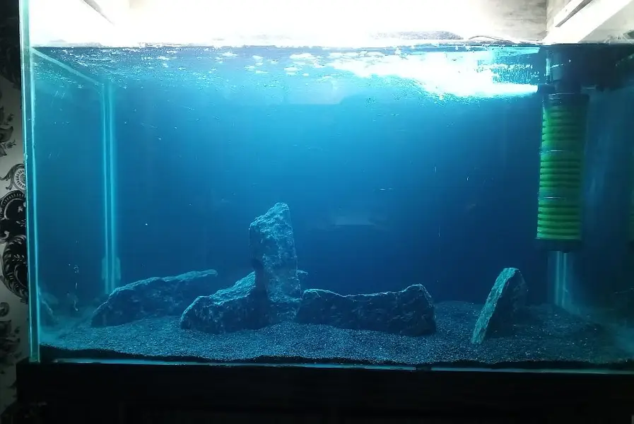 Fish Aquarium, Fish tank 3 fit 12 mm glass for sale — photo 2