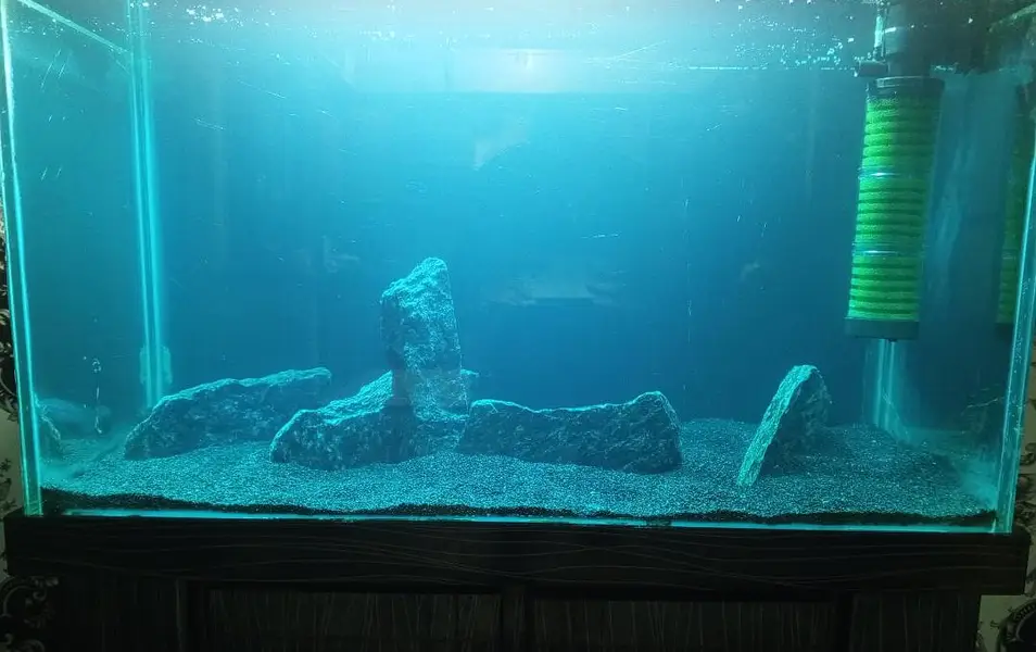 Fish Aquarium, Fish tank 3 fit 12 mm glass for sale — photo 3