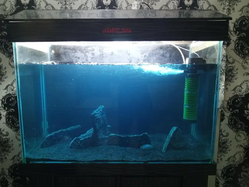 Fish Aquarium, Fish tank 3 fit 12 mm glass for sale — photo 6