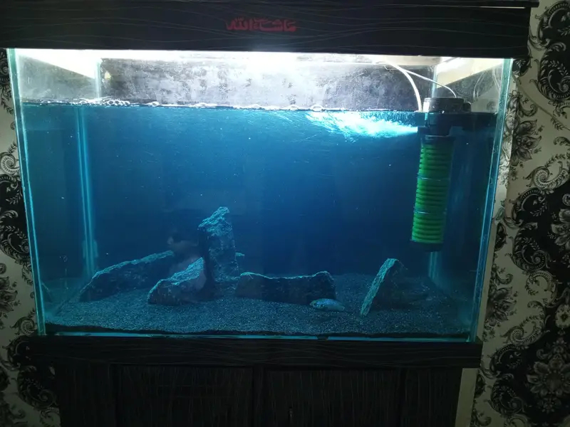 Fish Aquarium, Fish tank 3 fit 12 mm glass for sale — photo 7