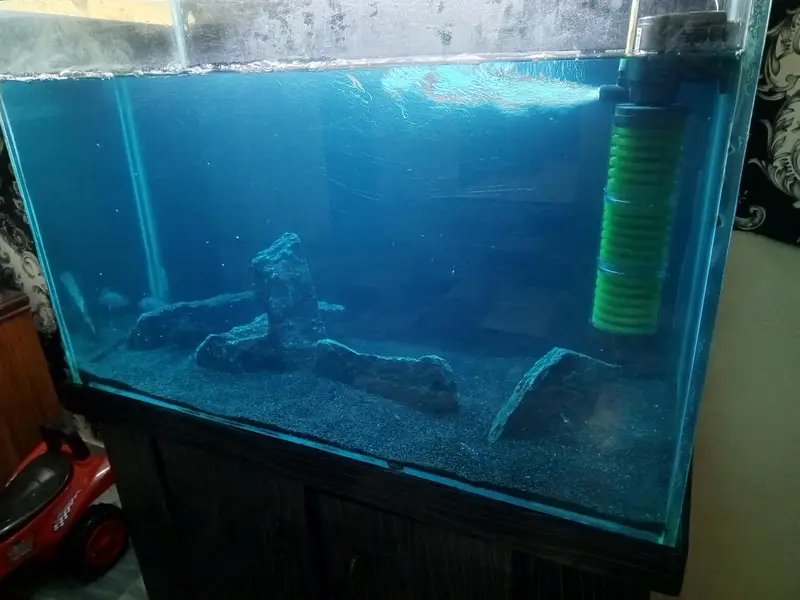 Fish Aquarium, Fish tank 3 fit 12 mm glass for sale — photo 8