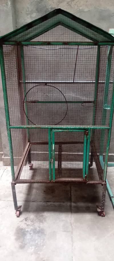 iron cage 5.5 legnth