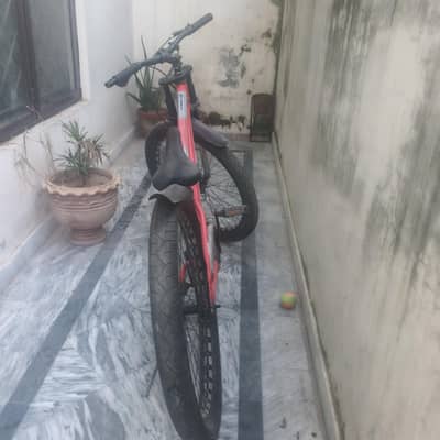 cycle for adults and kids of 10 years onward