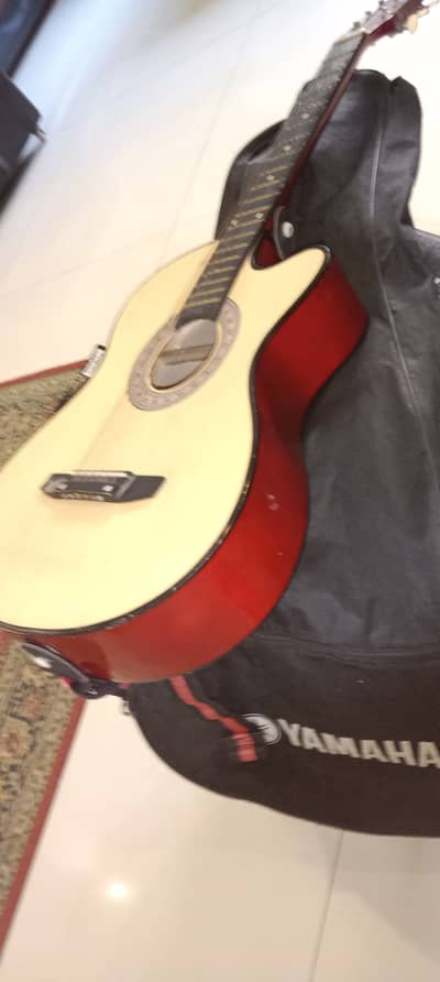 Branded Guitar with beautiful protective and cover for carriage