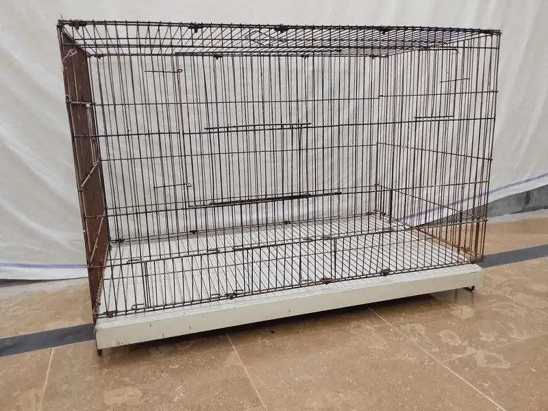 Cage | Parrot Cage | Hen Cage | Aseel Cage | Rabbit Cage| Cat Cage — photo 2