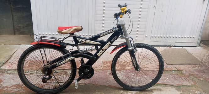 Dolphin river bicycle for sale best condition