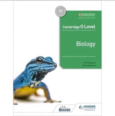 All A and O level books are available