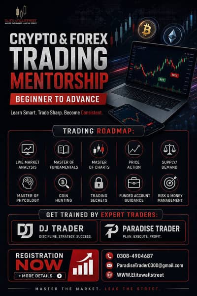 Forex & Crypto Trading Mentorship