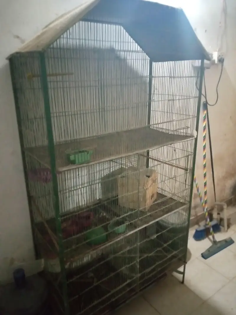 iron cage 5 Portion — photo 2