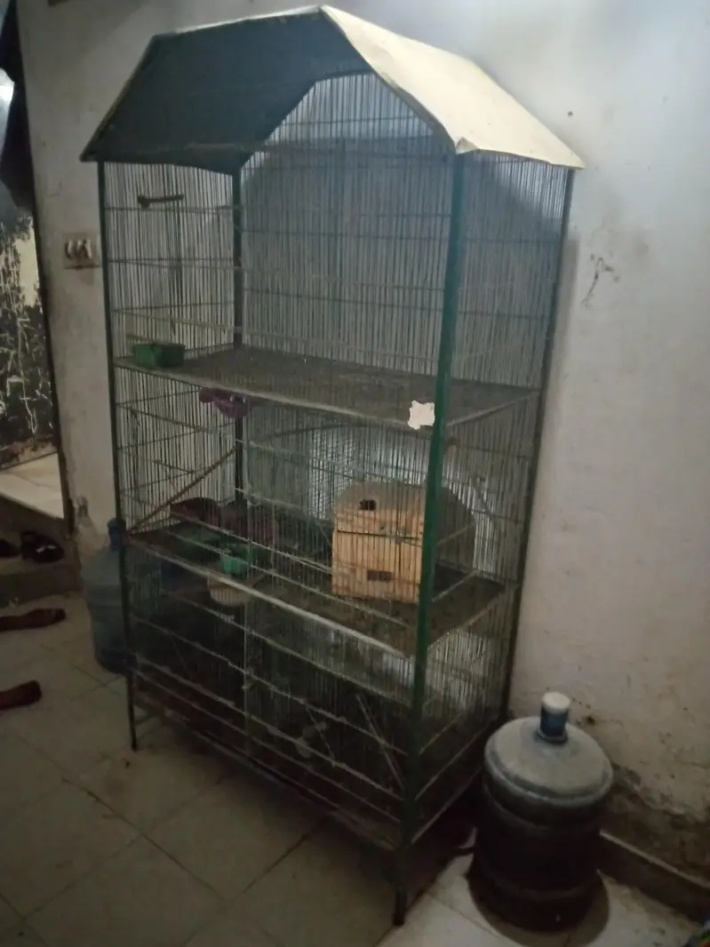 iron cage 5 Portion — photo 3
