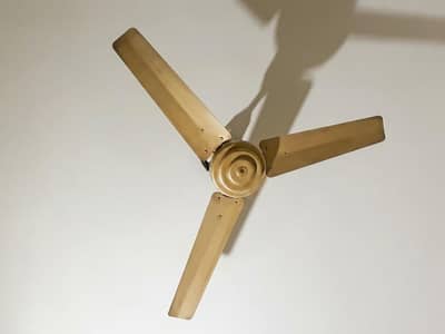 ceiling fan