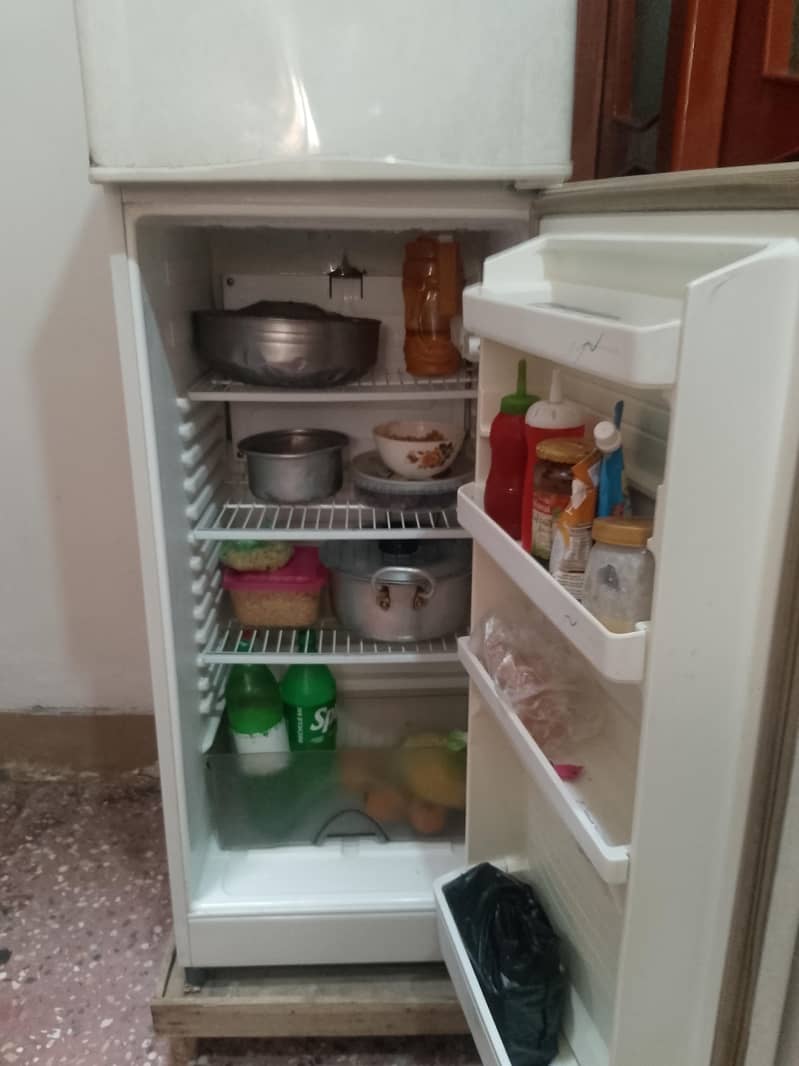 fridge 3