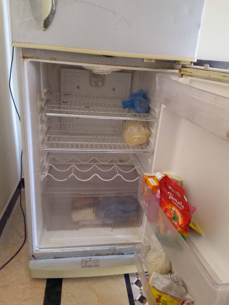 waves frige 3