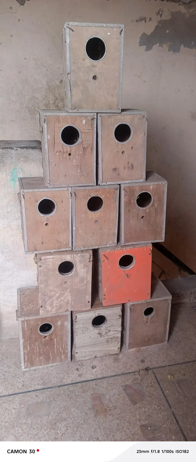 Boxes  Seed Ports Sticks Drinker — photo 4