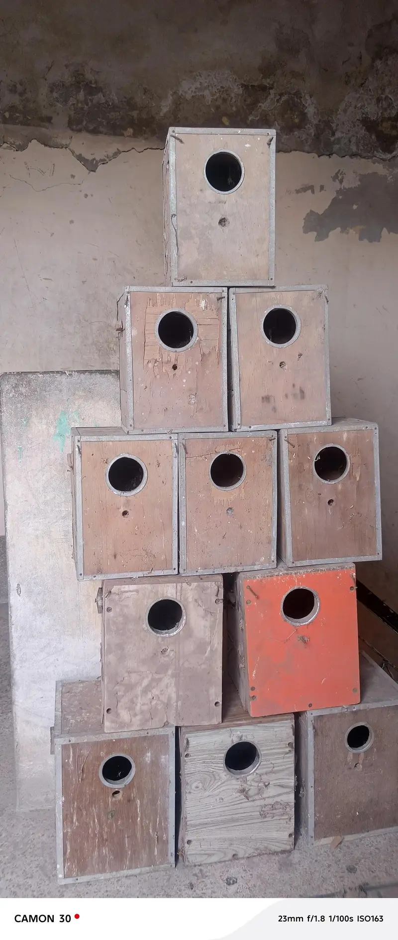 Boxes  Seed Ports Sticks Drinker — photo 5