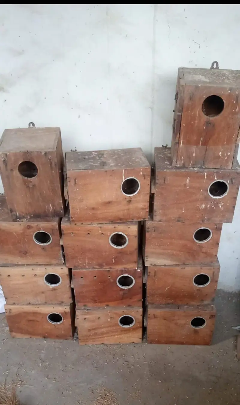 Boxes  Seed Ports Sticks Drinker — photo 7