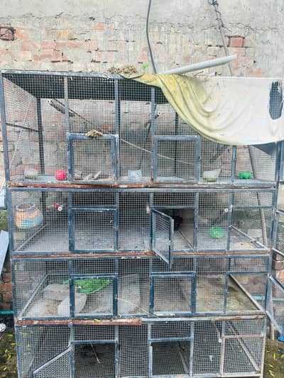 best cage for birds pinjra