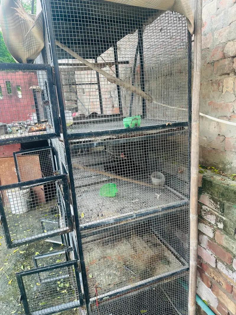 best cage for birds pinjra — photo 2