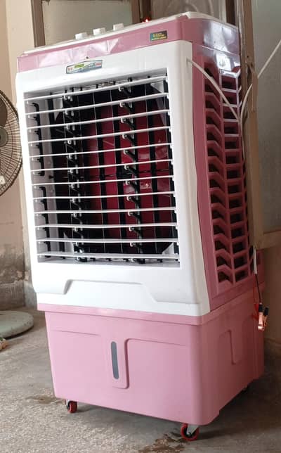 AC DC 12 volt air cooler