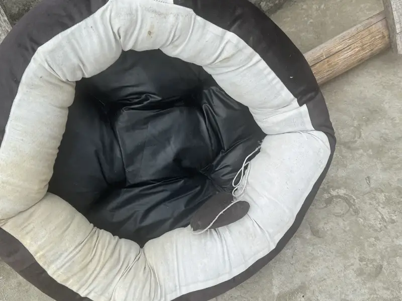 Cat Bed / Dog Bed — photo 4