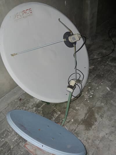 dish antenna all hd quality channel 03160494448