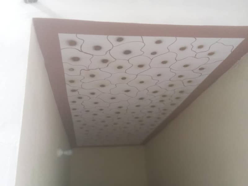 quality painters 14