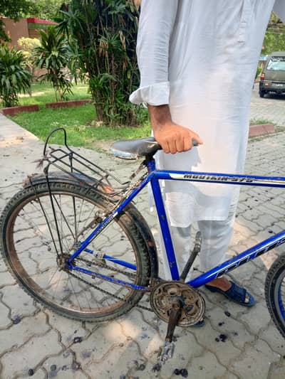 China bicycle