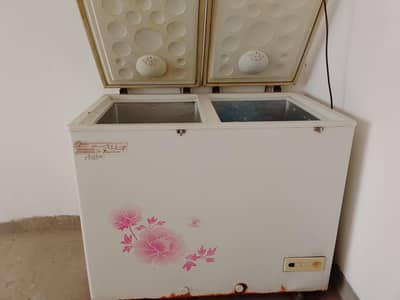 Dee freezer double door