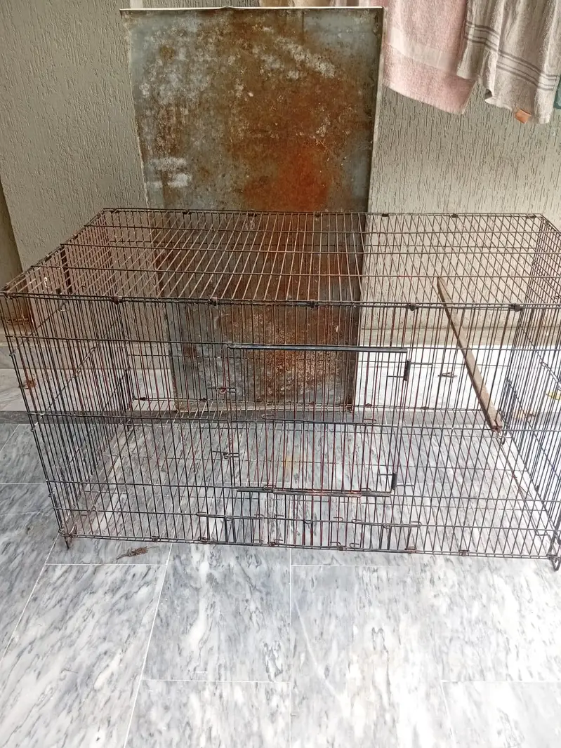 Cage for Sale — photo 2