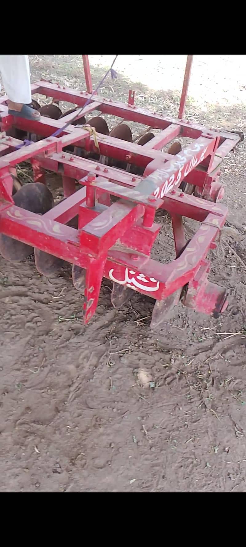 16پھالی گھوبل براے فروخت 1