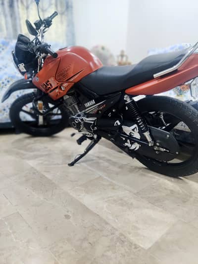 LushYAMAHA YBR 125 G