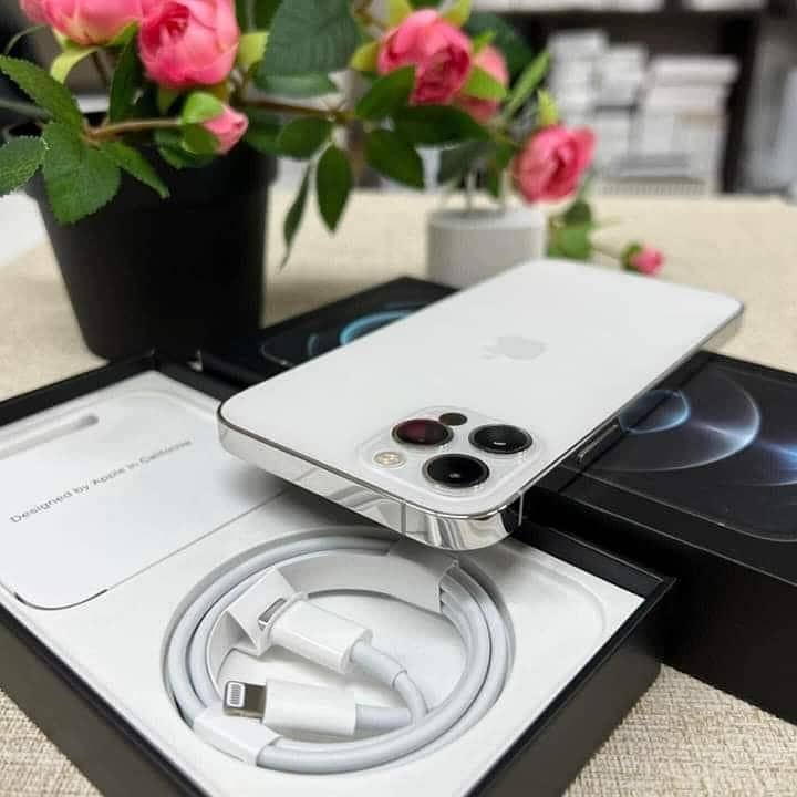 Apple iPhone 12 Pro Max 1
