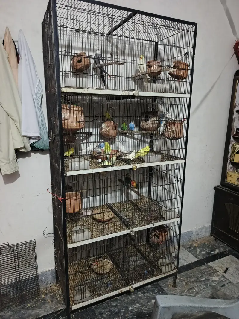 love bard . . . . . koktel . . . . and bagree perrats and cheks with cege — photo 5