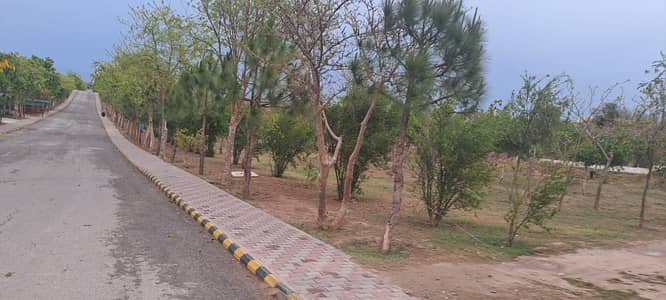 L block 7 Marla good location plot for sale