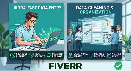 data entry expert/excel work google sheet work Ms word work