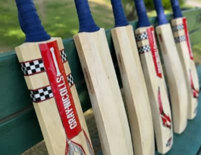 English Willow Bat Cricket Bat English Willow Range Hardball Bat