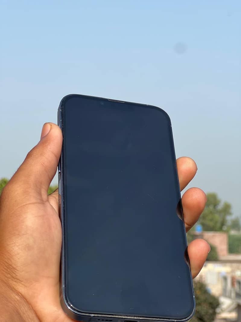 Apple iPhone 13 Pro Max 1