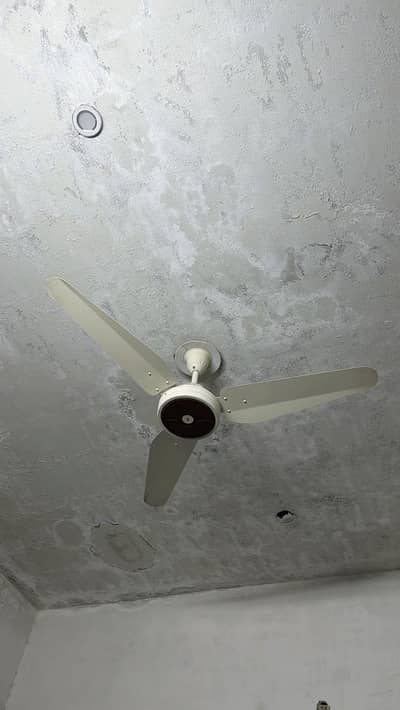 3 fan