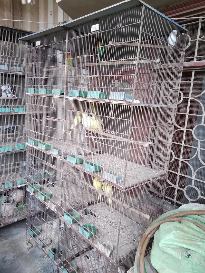 Birds Cages for Sale — photo 3