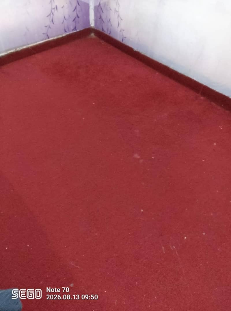 Red carpet 1