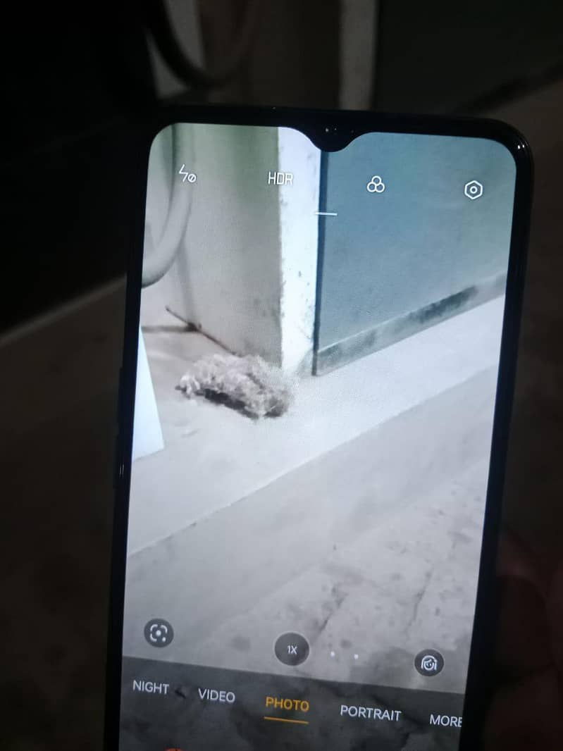 OPPO A16 5