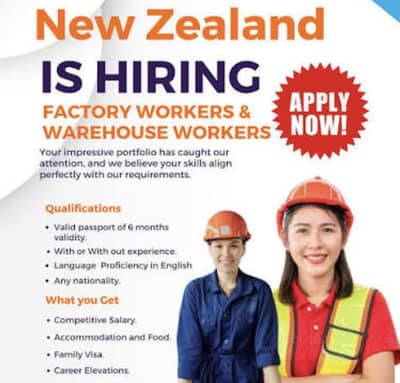New Zealand Job and Visa