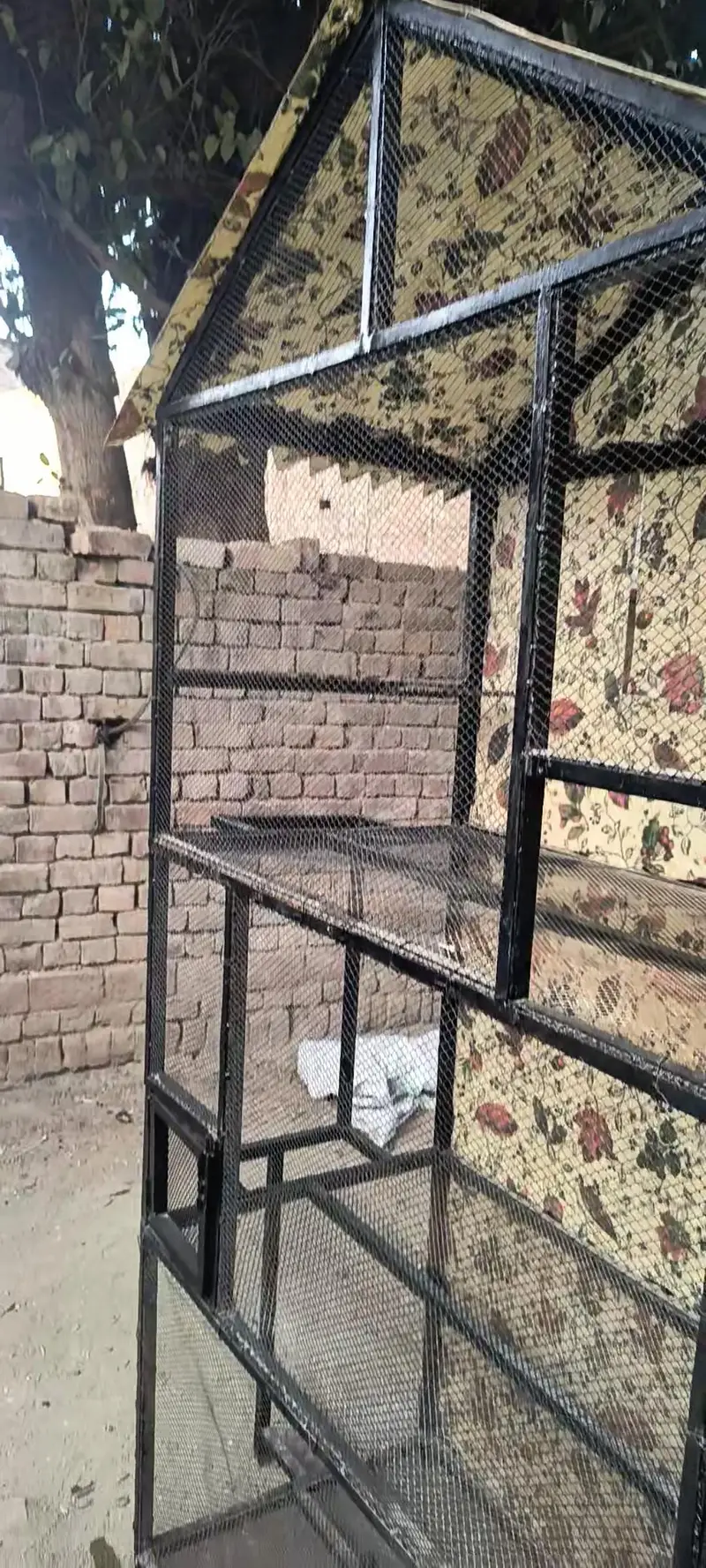 Cage for Sale — photo 2