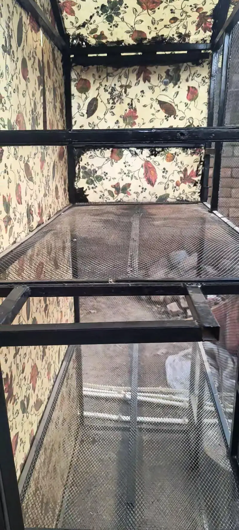 Cage for Sale — photo 7