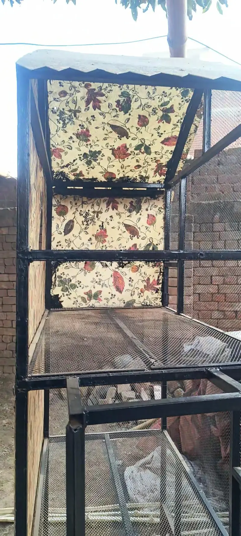 Cage for Sale — photo 9