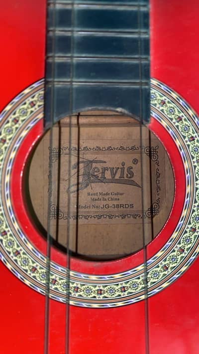 tervis guitar hand made
