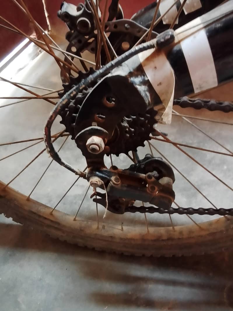 cycle 2