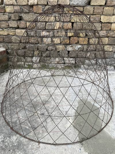 Large size tokra for hens is for sale